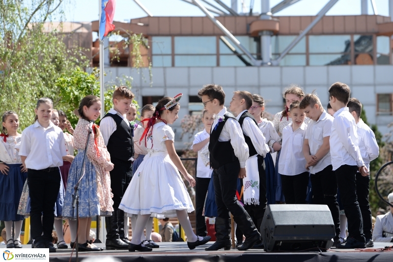 Helló Nyíregyháza délelőtt 2 - fotó Trifonov Éva