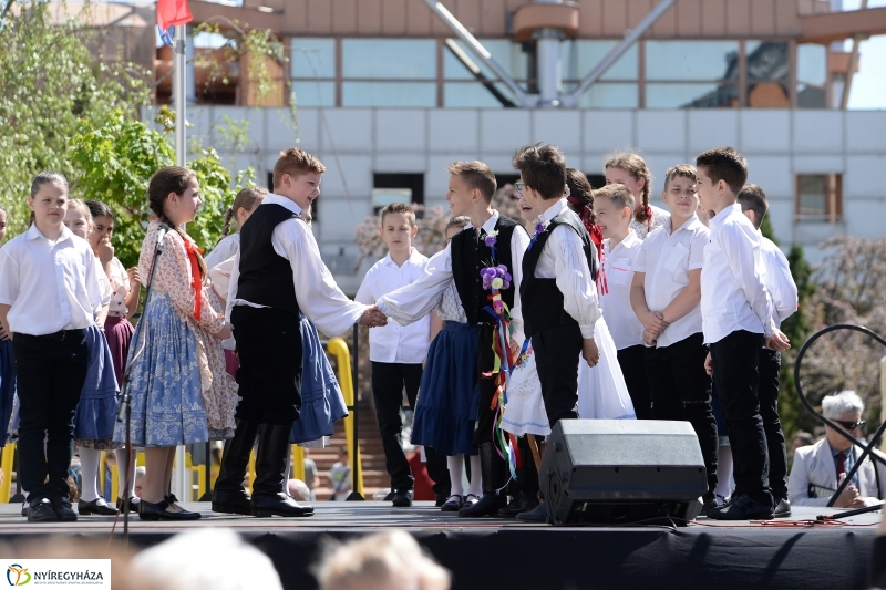 Helló Nyíregyháza délelőtt 2 - fotó Trifonov Éva