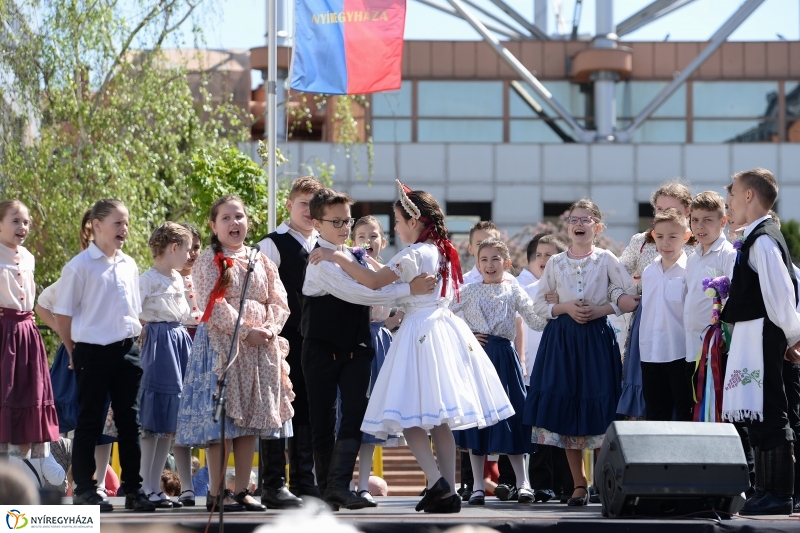 Helló Nyíregyháza délelőtt 2 - fotó Trifonov Éva