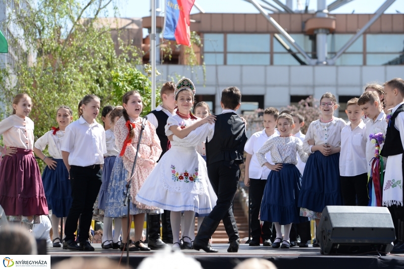 Helló Nyíregyháza délelőtt 2 - fotó Trifonov Éva