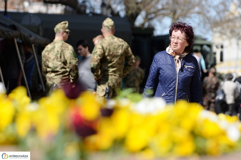 Helló Nyíregyháza délelőtt 2 - fotó Trifonov Éva