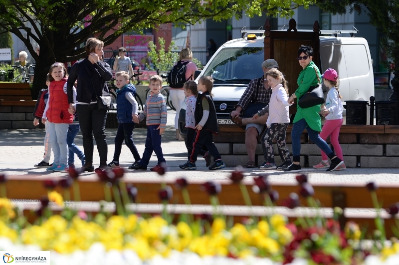 Helló Nyíregyháza délelőtt 2 - fotó Trifonov Éva