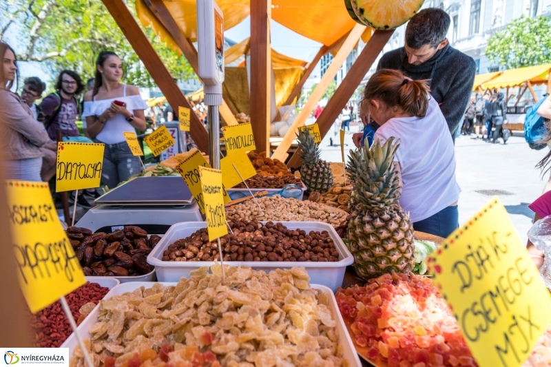 Hangulatképek a Helló Nyíregyháza utcáin - fotó Kohut Árpád