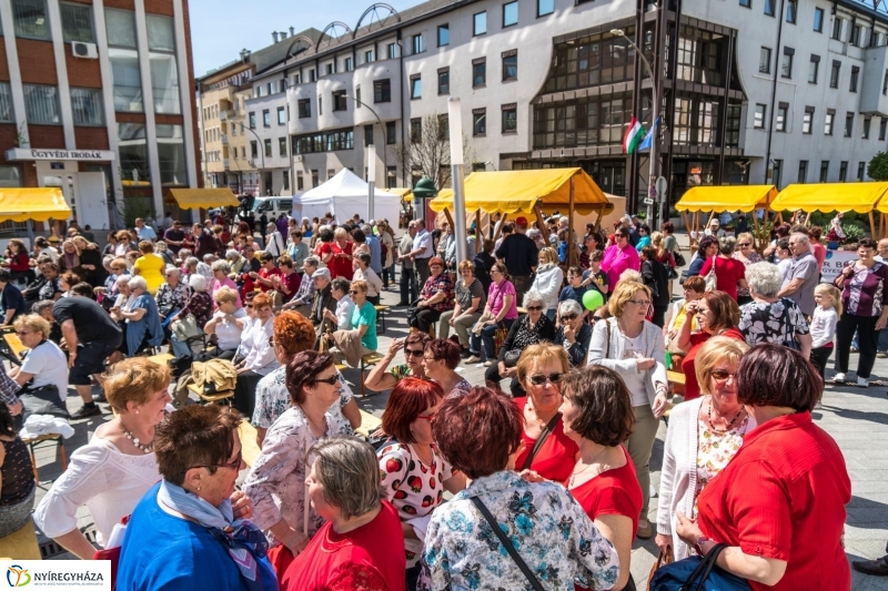 Hangulatképek a Helló Nyíregyháza utcáin - fotó Kohut Árpád