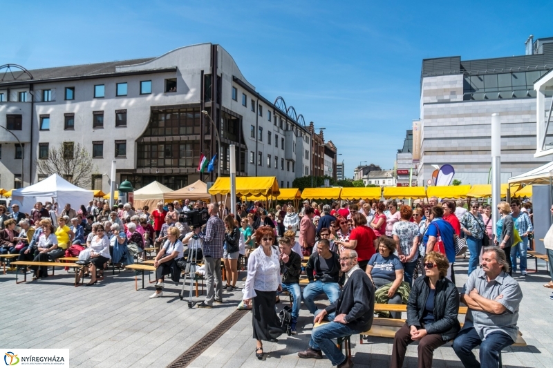 Hangulatképek a Helló Nyíregyháza utcáin - fotó Kohut Árpád