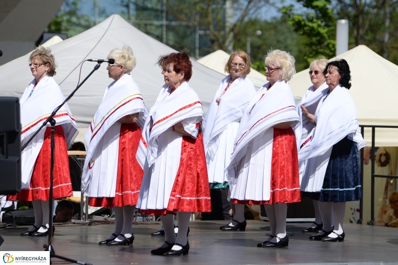 Helló Nyíregyháza délután 2 - fotó Trifonov Éva