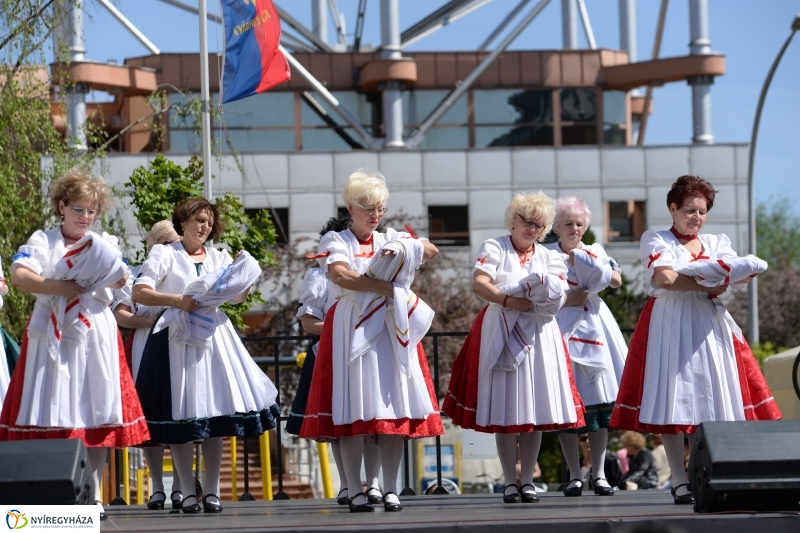 Helló Nyíregyháza délután 2 - fotó Trifonov Éva