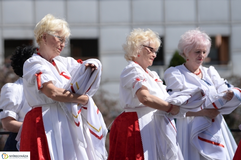 Helló Nyíregyháza délután 2 - fotó Trifonov Éva