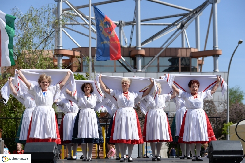 Helló Nyíregyháza délután 2 - fotó Trifonov Éva