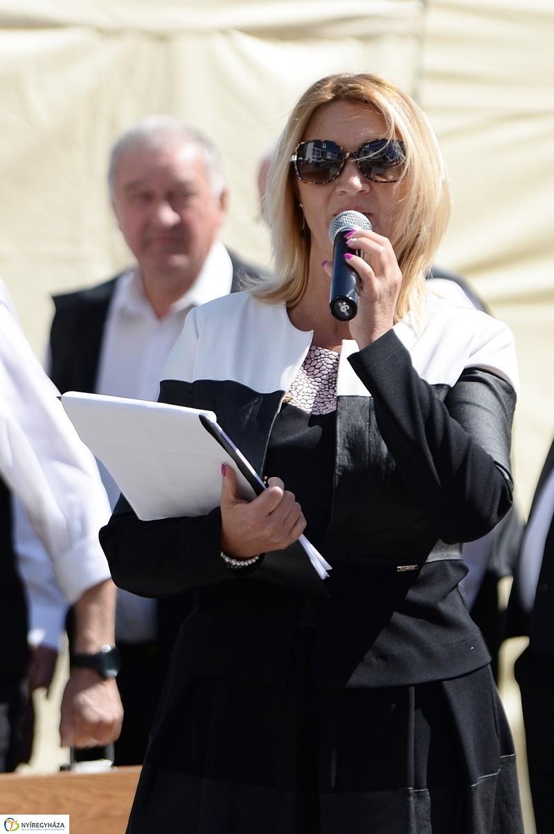 Helló Nyíregyháza délután 2 - fotó Trifonov Éva