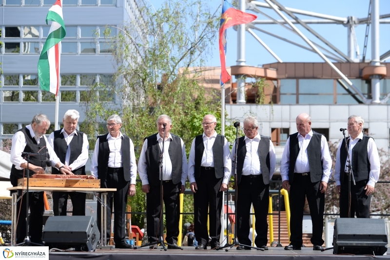 Helló Nyíregyháza délután 2 - fotó Trifonov Éva