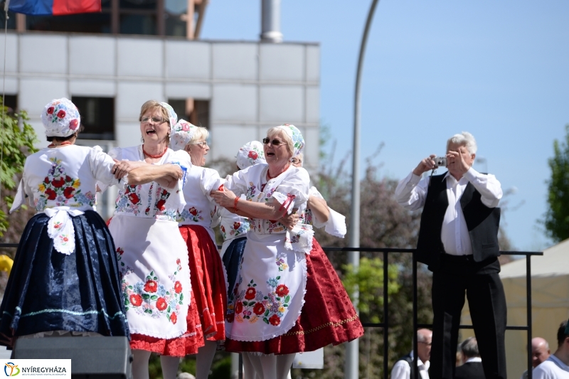 Helló Nyíregyháza délután 2 - fotó Trifonov Éva