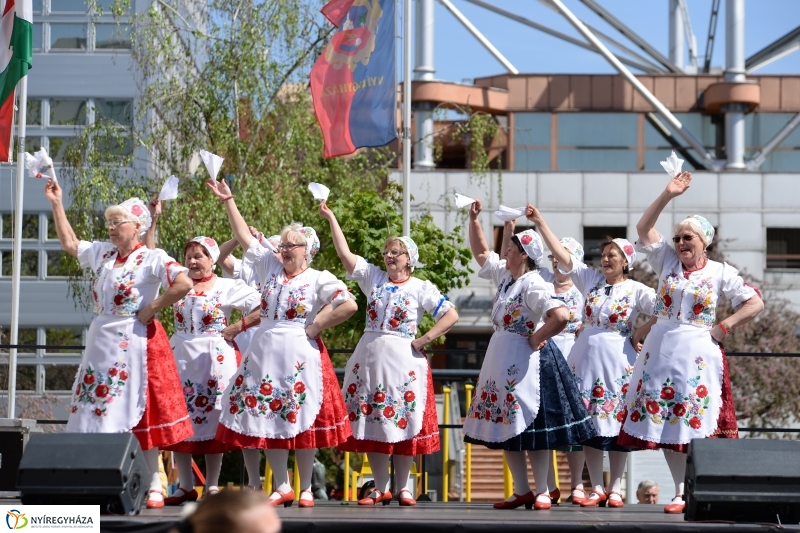 Helló Nyíregyháza délután 2 - fotó Trifonov Éva