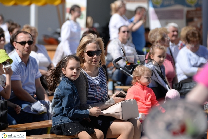 Helló Nyíregyháza délután 2 - fotó Trifonov Éva