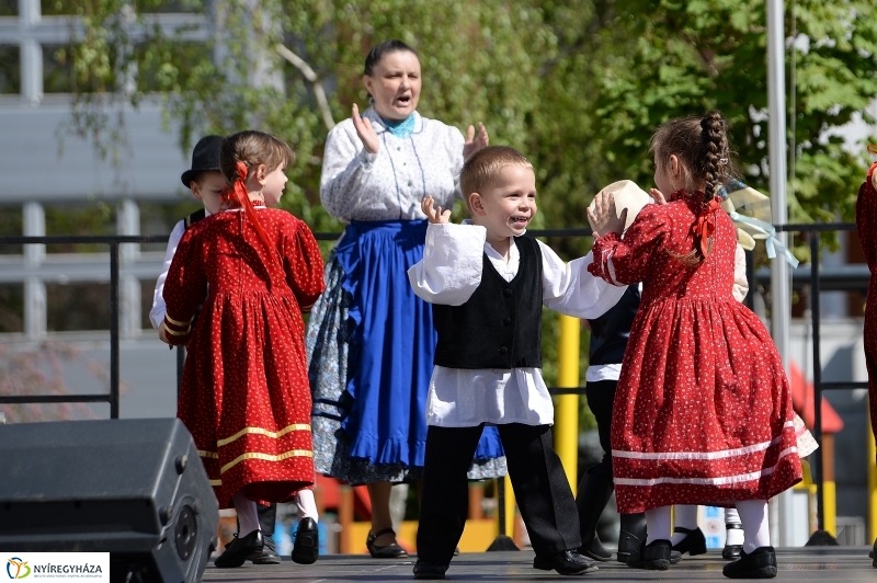 Helló Nyíregyháza délután 2 - fotó Trifonov Éva