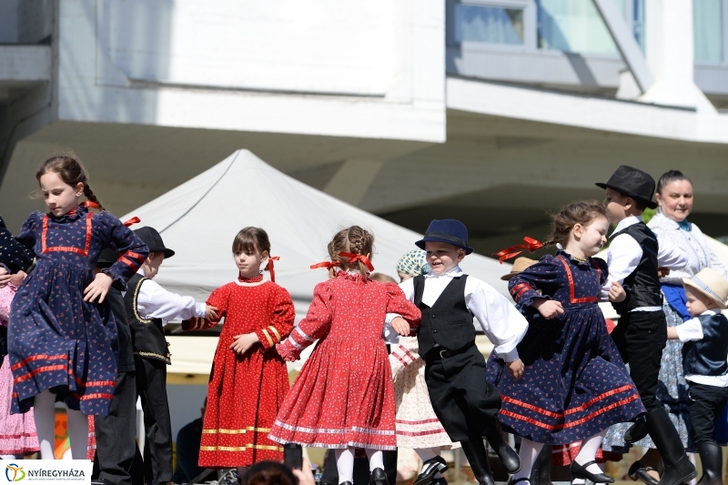 Helló Nyíregyháza délután 2 - fotó Trifonov Éva