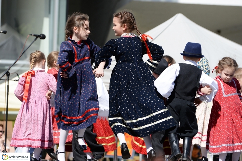 Helló Nyíregyháza délután 2 - fotó Trifonov Éva