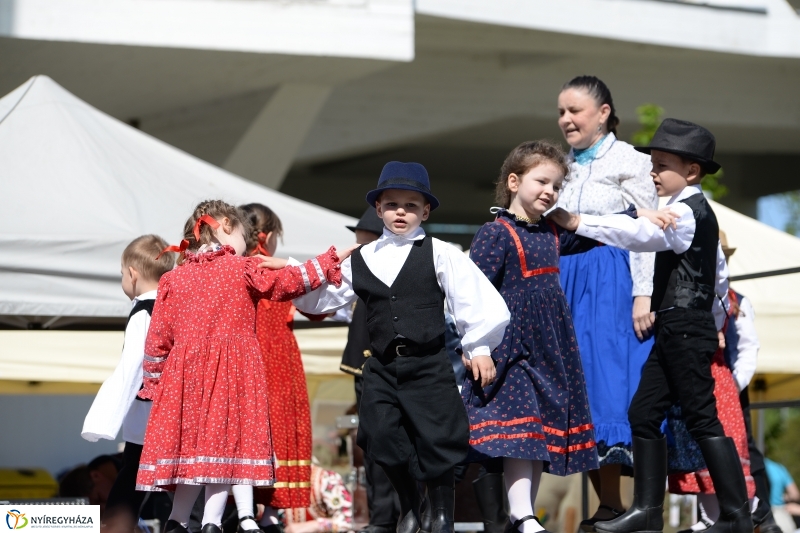 Helló Nyíregyháza délután 2 - fotó Trifonov Éva