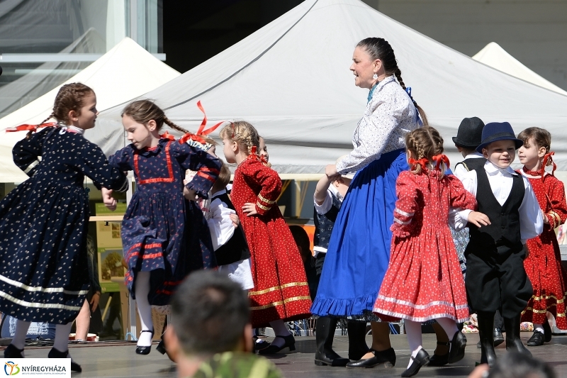 Helló Nyíregyháza délután 2 - fotó Trifonov Éva