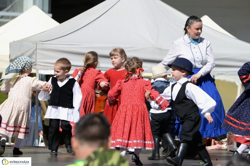 Helló Nyíregyháza délután 2 - fotó Trifonov Éva