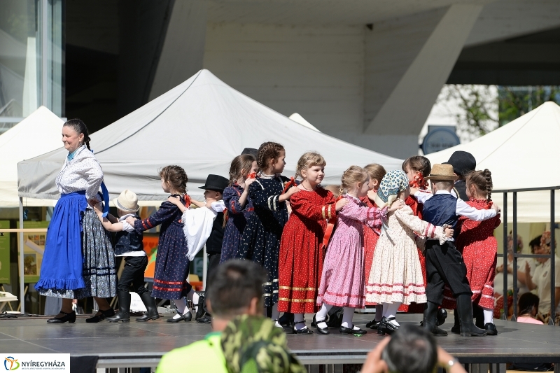 Helló Nyíregyháza délután 2 - fotó Trifonov Éva