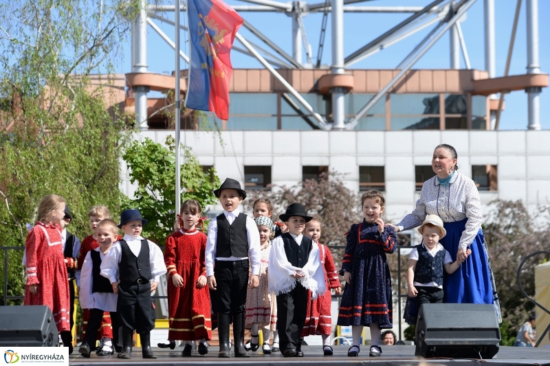 Helló Nyíregyháza délután 2 - fotó Trifonov Éva