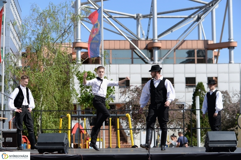 Helló Nyíregyháza délután 2 - fotó Trifonov Éva