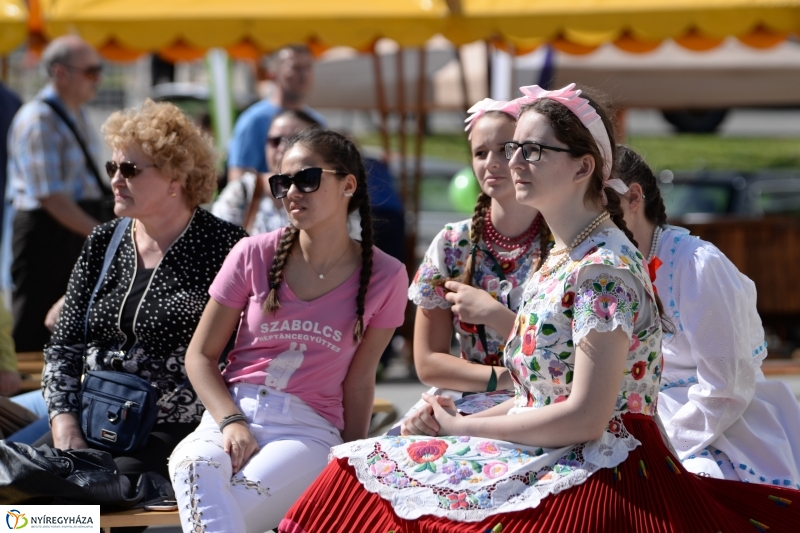 Helló Nyíregyháza délután 2 - fotó Trifonov Éva