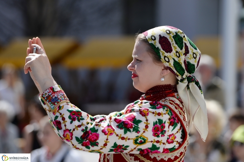 Helló Nyíregyháza délután 2 - fotó Trifonov Éva