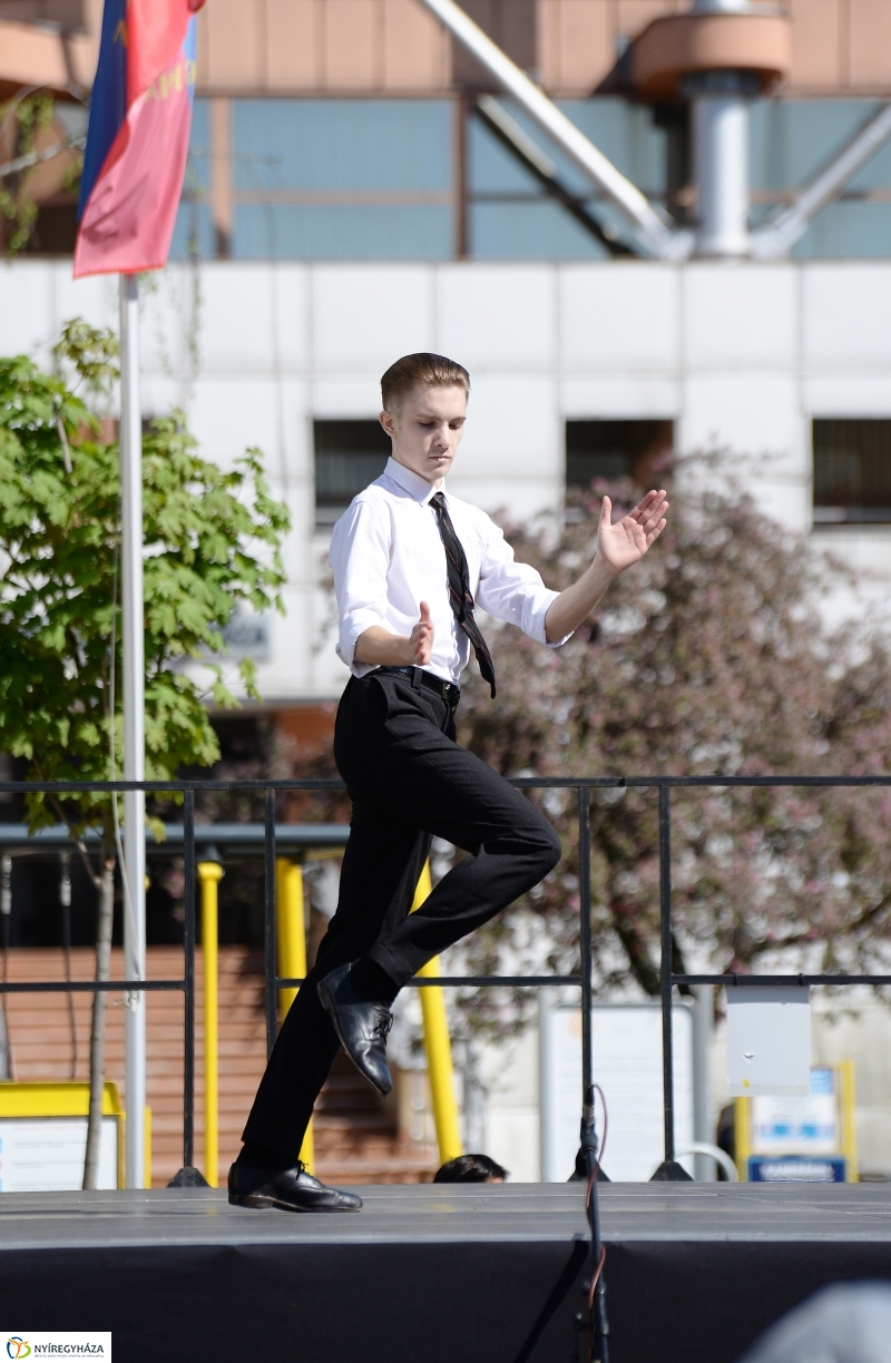 Helló Nyíregyháza délután 2 - fotó Trifonov Éva