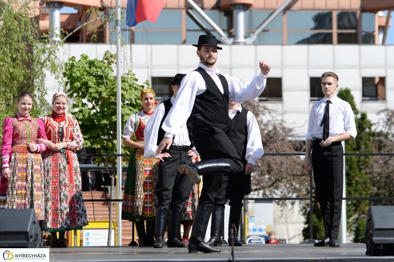 Helló Nyíregyháza délután 2 - fotó Trifonov Éva