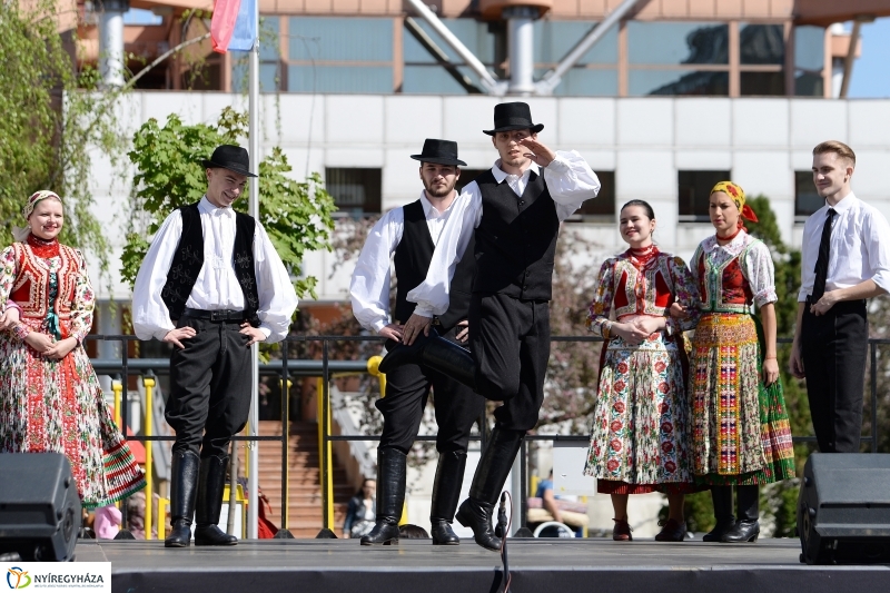 Helló Nyíregyháza délután 2 - fotó Trifonov Éva