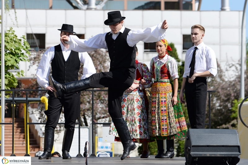 Helló Nyíregyháza délután 2 - fotó Trifonov Éva