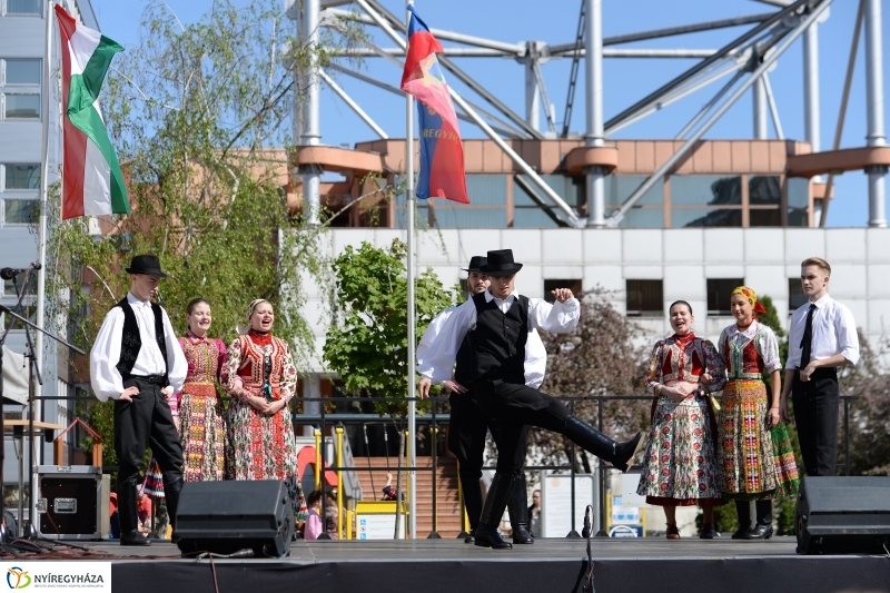 Helló Nyíregyháza délután 2 - fotó Trifonov Éva