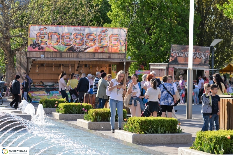 Fizika-koncert - fotó Trifonov Éva