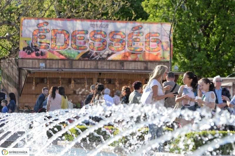 Fizika-koncert - fotó Trifonov Éva