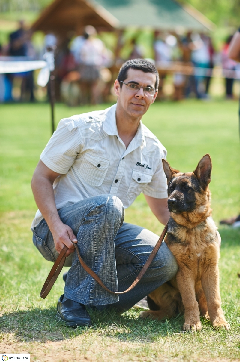Kutyakiállítás Oroson - fotó Szarka Lajos