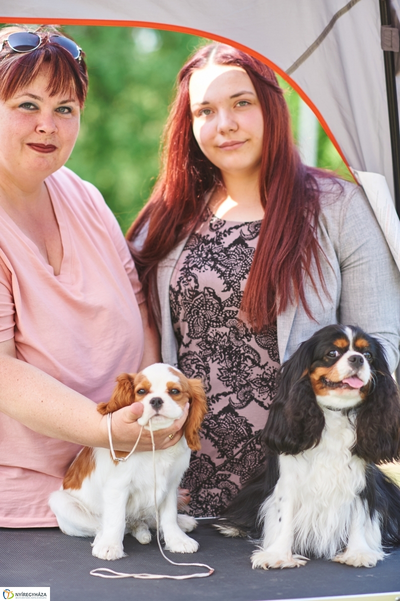 Kutyakiállítás Oroson - fotó Szarka Lajos