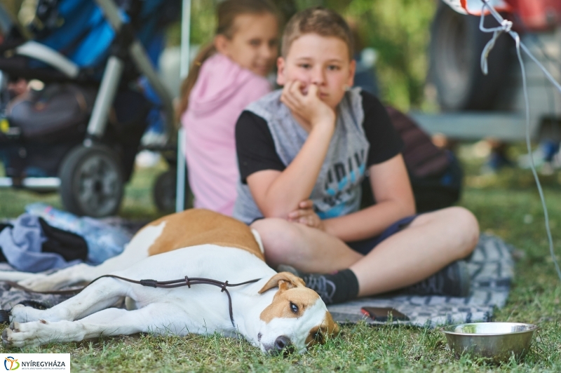 Kutyakiállítás Oroson - fotó Szarka Lajos