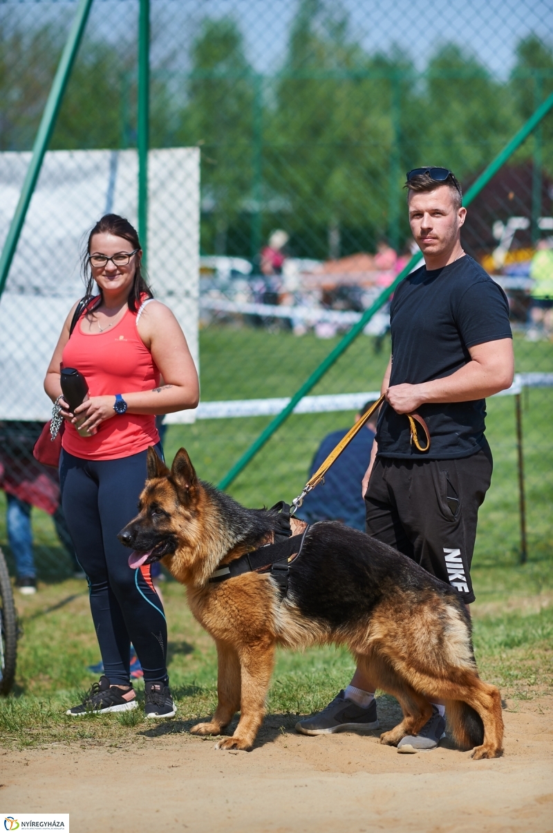 Kutyakiállítás Oroson - fotó Szarka Lajos