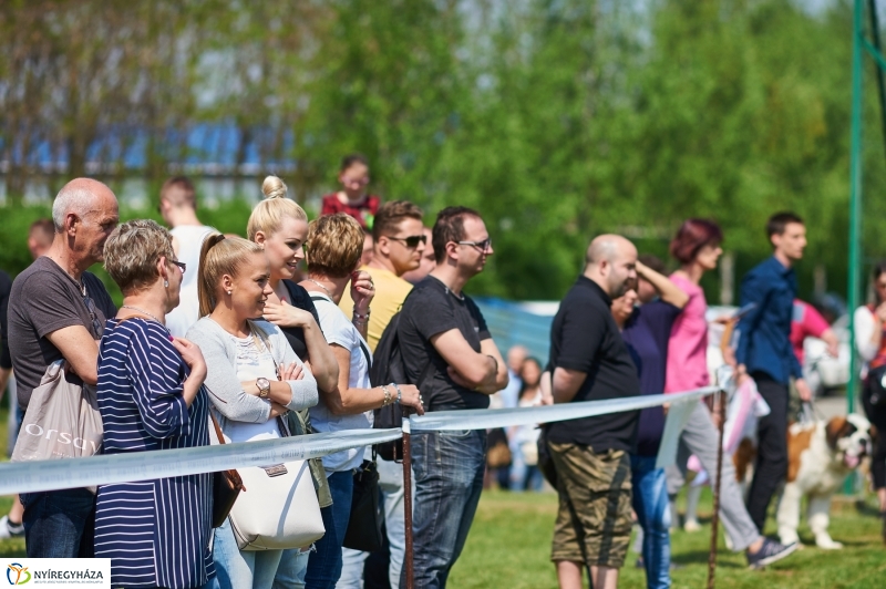 Kutyakiállítás Oroson - fotó Szarka Lajos