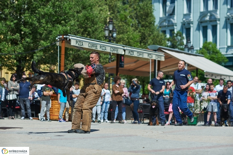 Rendvédelmi nap 2018 - fotó Szarka Lajos