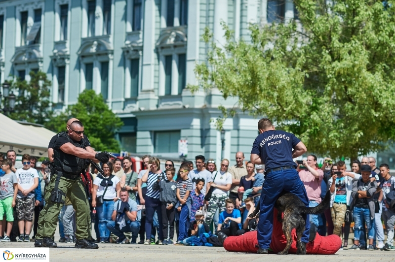 Rendvédelmi nap 2018 - fotó Szarka Lajos
