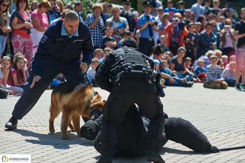 Rendvédelmi nap 2018 - fotó Szarka Lajos