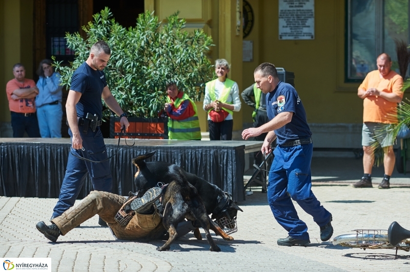 Rendvédelmi nap 2018 - fotó Szarka Lajos