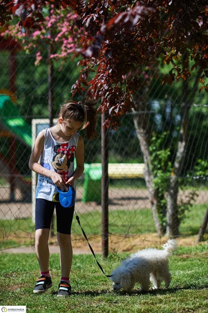 Mandabokor Majális 2018 - fotó Szarka Lajos