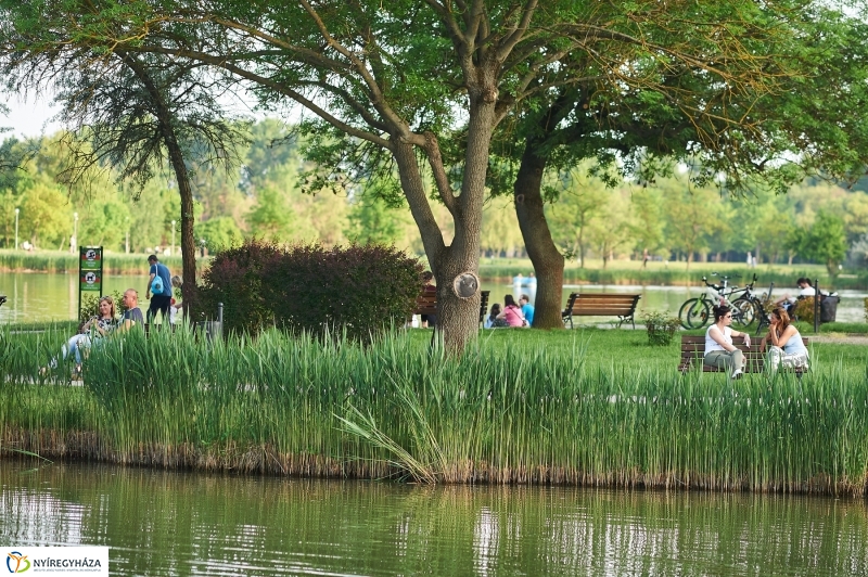 Sóstói körkép tavaszi estén - fotó Szarka Lajos