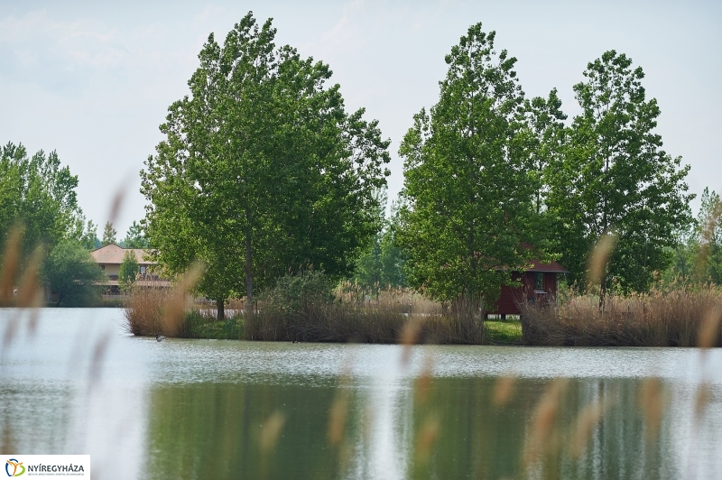 Ünnepi horgászat a Tüskevárnál - fotó Szarka Lajos
