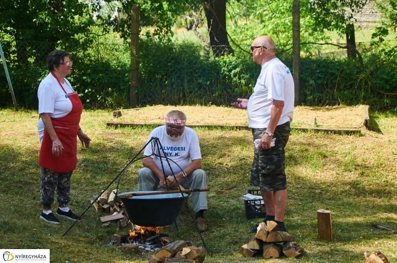 Borbányai majális 2018 - fotó Szarka Lajos