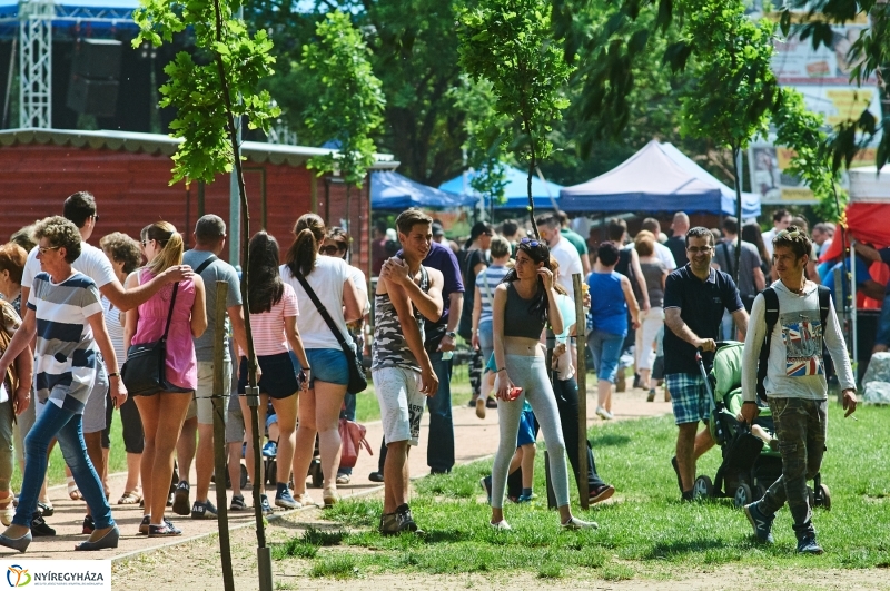 Bujtosi Majális 2018 - fotó Szarka Lajos